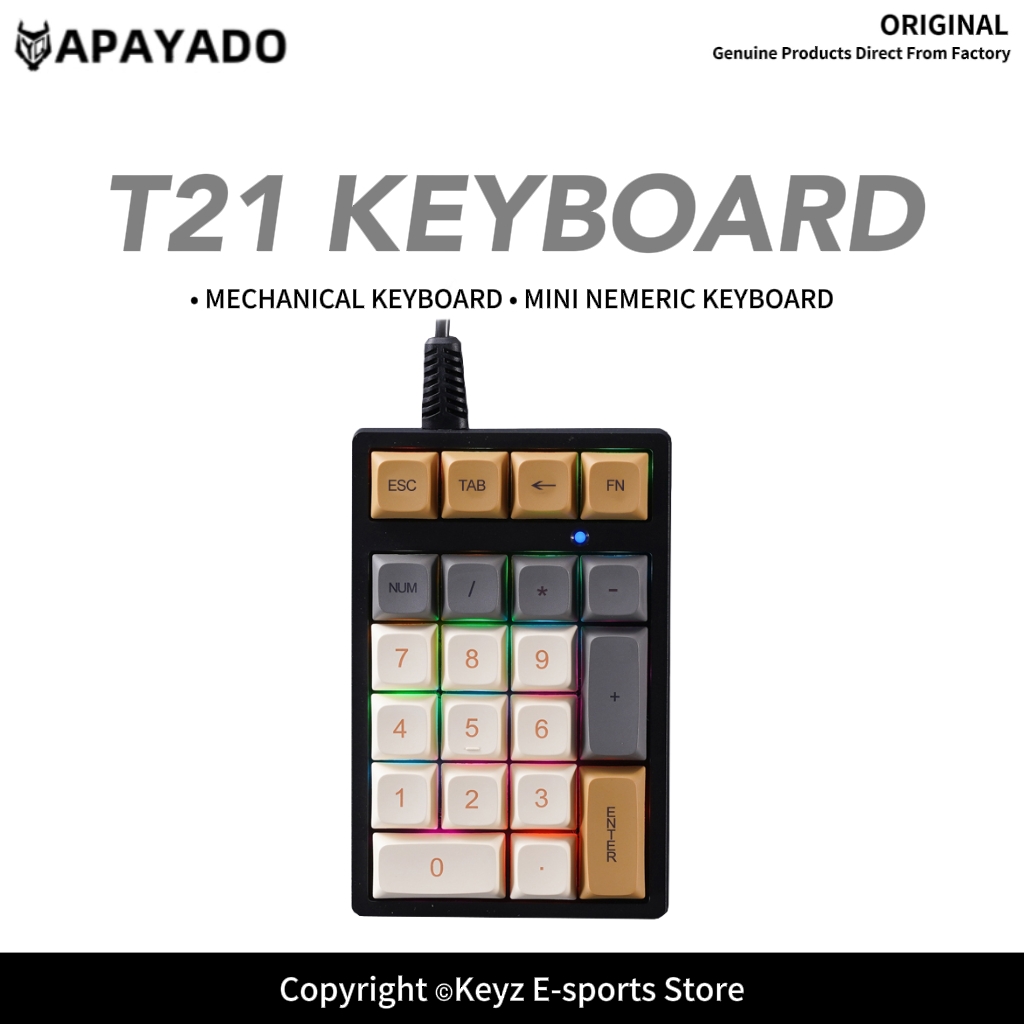 Keyboard Gaming Blue Switch - Klawiatura numeryczna T21 Mini z podświetleniem